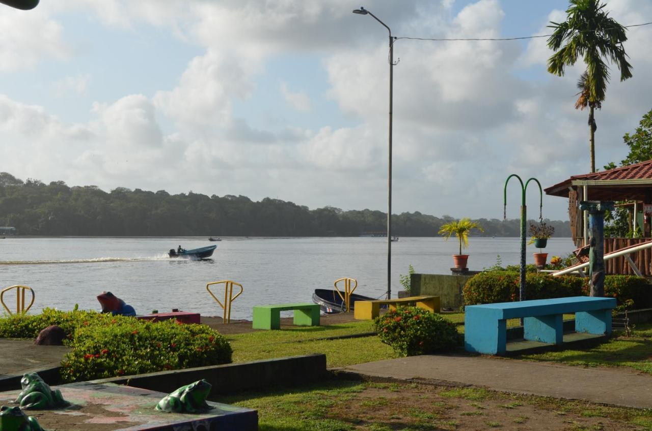 Hotel Pura Natura Riverside Tortuguero Eksteriør bilde